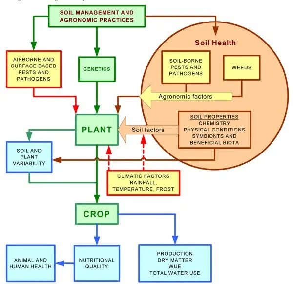 Soil Health Management. Physics of Soil properties. Soil quality Factor. Инструмент SAP Soil.