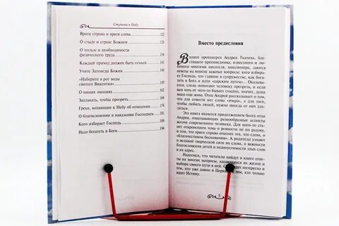 Предисловие в книге