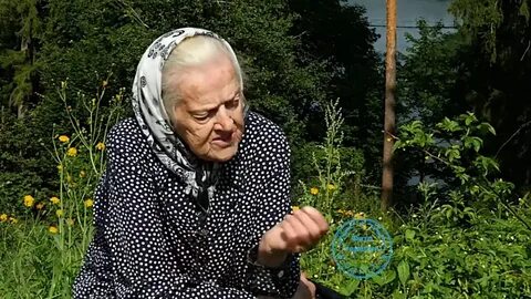 Рецепты травницы зайцевой елены федоровны книга