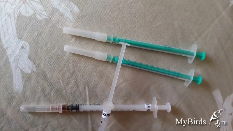 Медсестра системная игла. Коля шприц. Укол руки медсестры фото. Укол со шприцом 10мл. Кровь из вены больно ли.