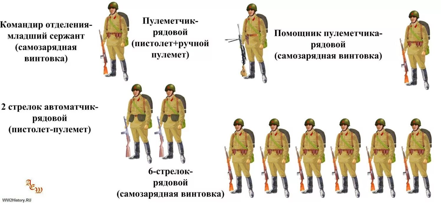 Состав стрелкового отделения РККА 1941. Штат роты РККА 1941. Пехотная рота вермахта 1941. Стрелковая рота РККА 1941.