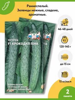 Огурцы сорта крокодил