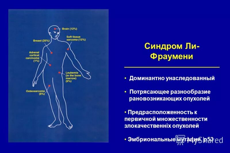 Синдром ли-Фраумени презентация. Li Fraumeni синдром. Синдром ли фраумени