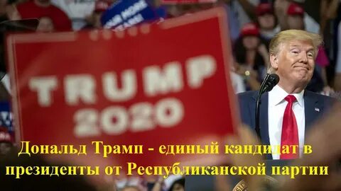 Сколько процентов у трампа на выборах