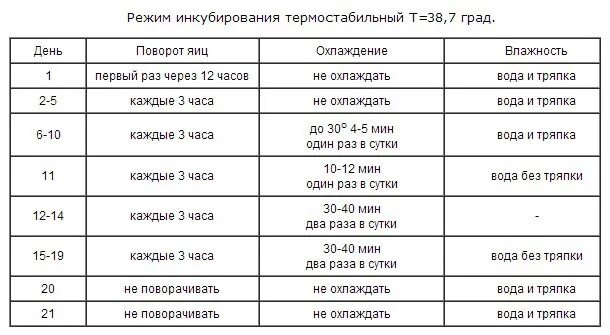 Инкубатор таблица температур - Инкубация куриных яиц: таблица времени и правила 