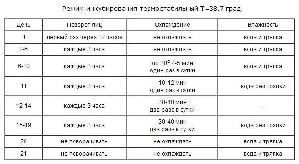 Сколько раз переворачивать яйца. Как переворачивать яйца в инкубаторе вручную. Инкубация куриных яиц. Инкубация куриных яиц в инкубаторе. Через какое время поворачивать яйца в инкубаторе.