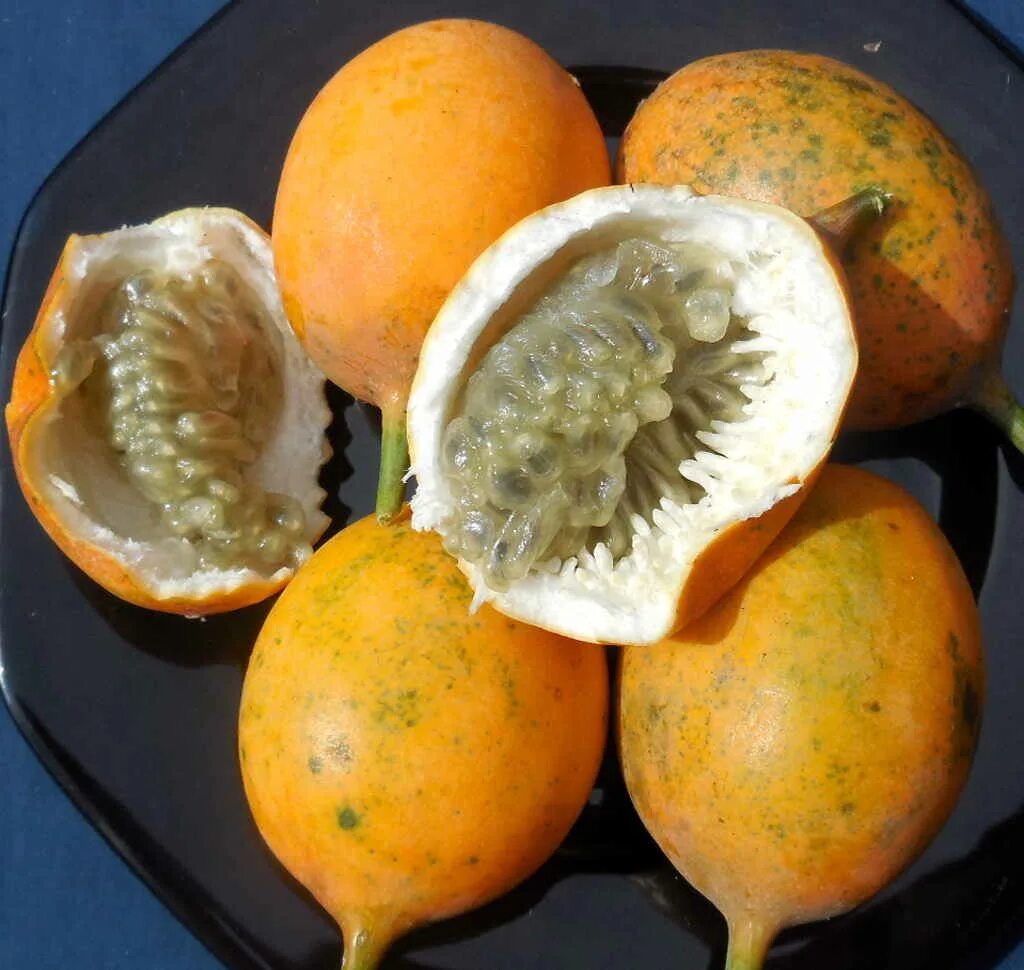 Пила фрукт. Granada фрукт. Экзотические фрукты Мексики. Голубой фрукт экзотический. Мексиканский фрукт желтый.