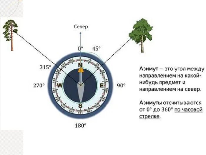 В каком направлении находится юг
