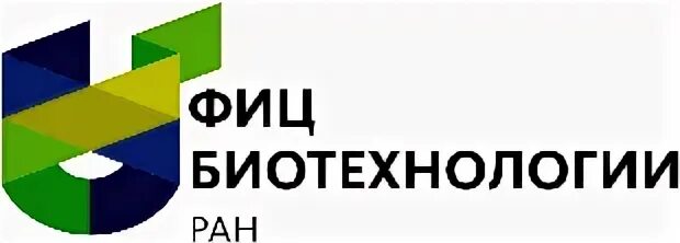 Фиц