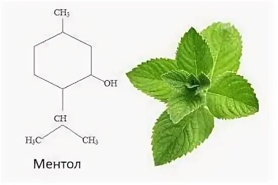 Эфирные масла формула. Ментол эфирное масло формула. мята формула химическая. эфирное масло мяты формула. мятное эфирное масло формула.