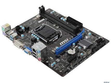 Msi h81m