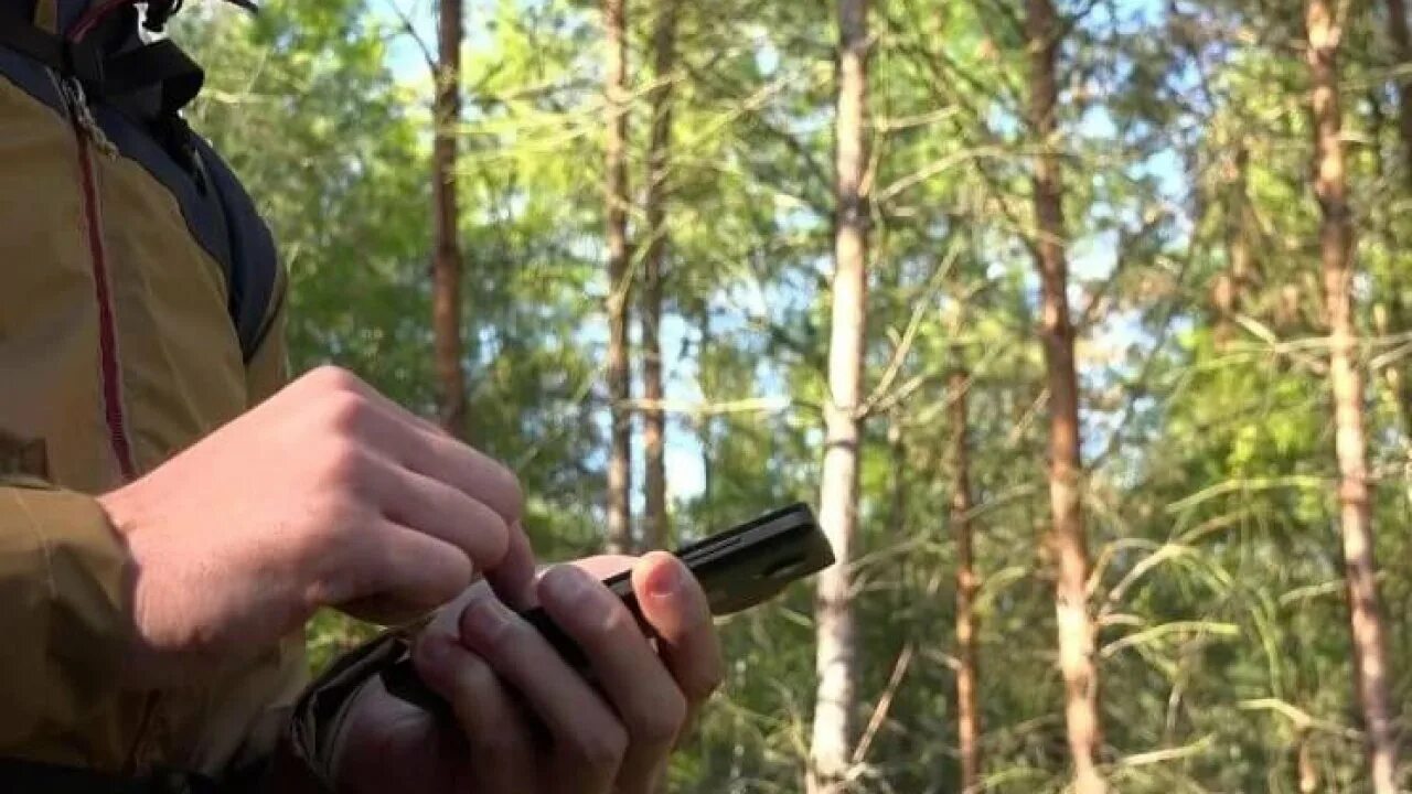 Приложение чтобы не потеряться в лесу. Смартфон в лесу. лес в октябре. туристы в лесу. заблудился в лесу виртуальная реальность.
