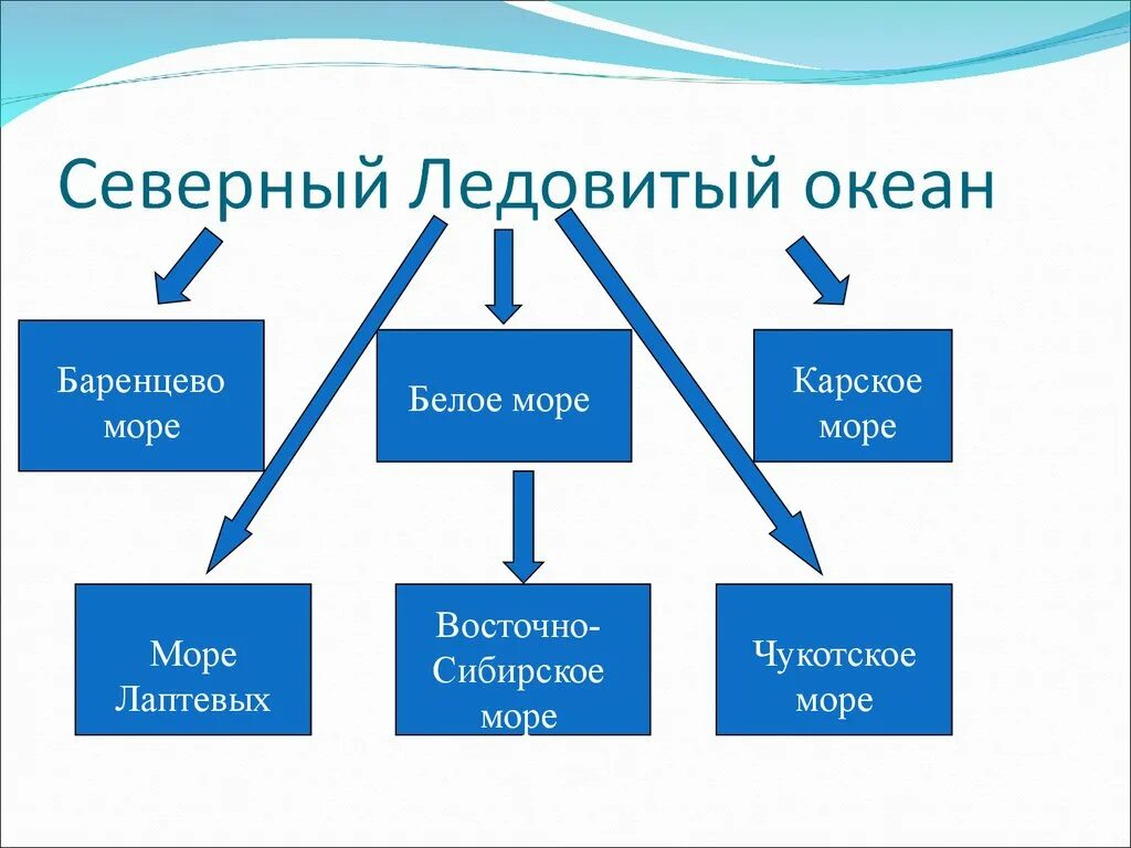 Кластер Северного Ледовитого океана. Моря Северного Ледовитого океана омывающие Россию. Моря омывающие северно Ледовитый океан. Кластер по теме: "Северный Ледовитый океан".. Окраинные моря ледовитого океана