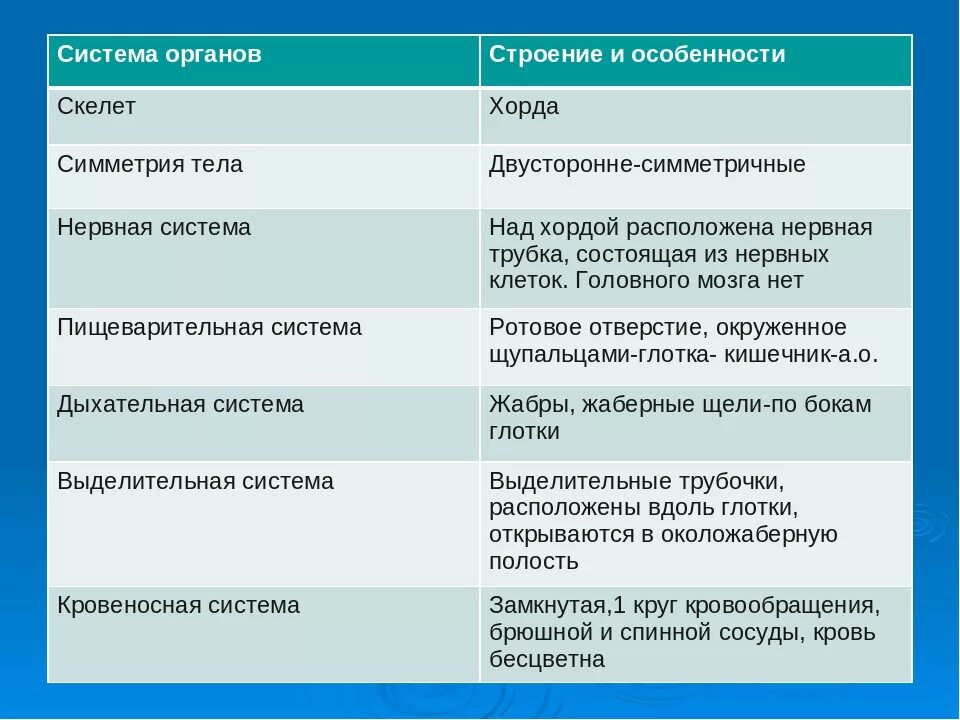 Таблица системы органов системы органов строение и функции у рыб. Внутреннее строение рыбы таблица система органов строение и функции. Таблица по биологии 7 класс система органов и строение. Таблица рыбы система органов особенности строения функции. Сравнение ланцетника с рыбой