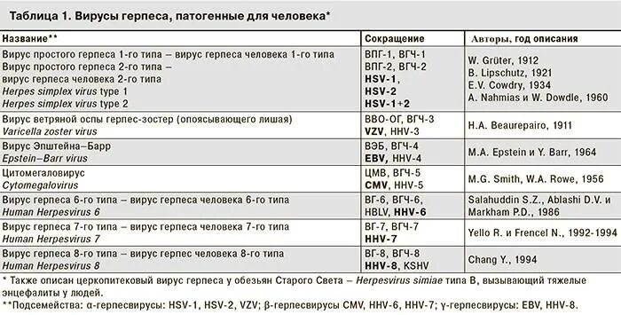 1 2 6 типа вируса. Вирус герпеса 6 типа(hhv). вирус герпеса человека 2 - вирус простого герпеса 2 типа (впг- ii);. днк вируса герпеса 6 типа норма у детей. пцр вирус герпеса 6 типа у ребенка.