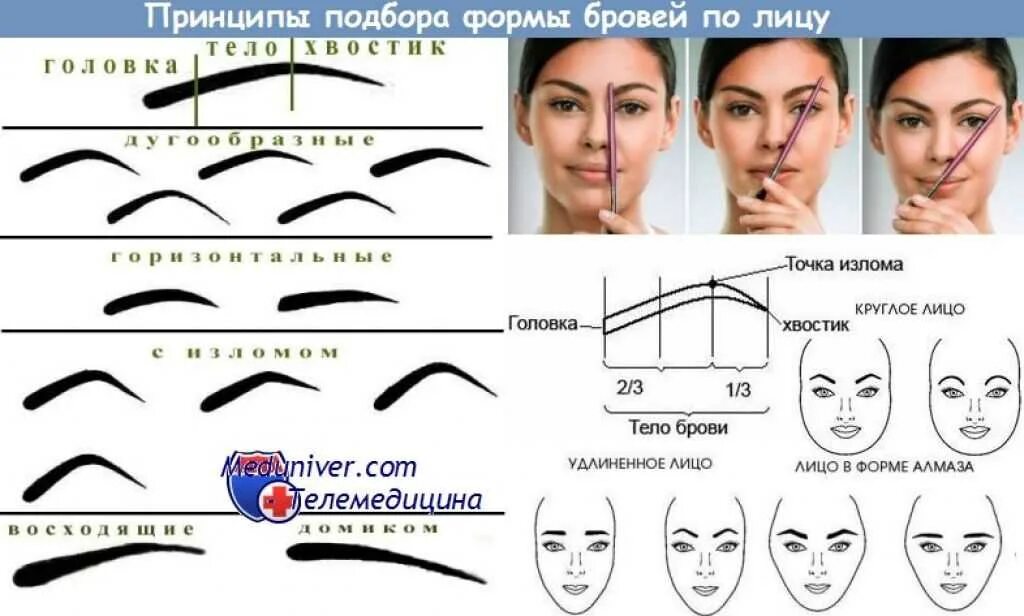 Какой форме лица подходят какие брови. Форма бровей. разные формы бровей. идеальная форма бровей. какие бывают брови по форме.