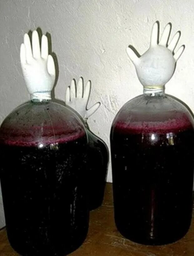 Рецепт вина перчаткой. Домашнее вино. перчатка на бутыль с вином. бутыль с перчаткой для вина. домашнее вино в бутылях.