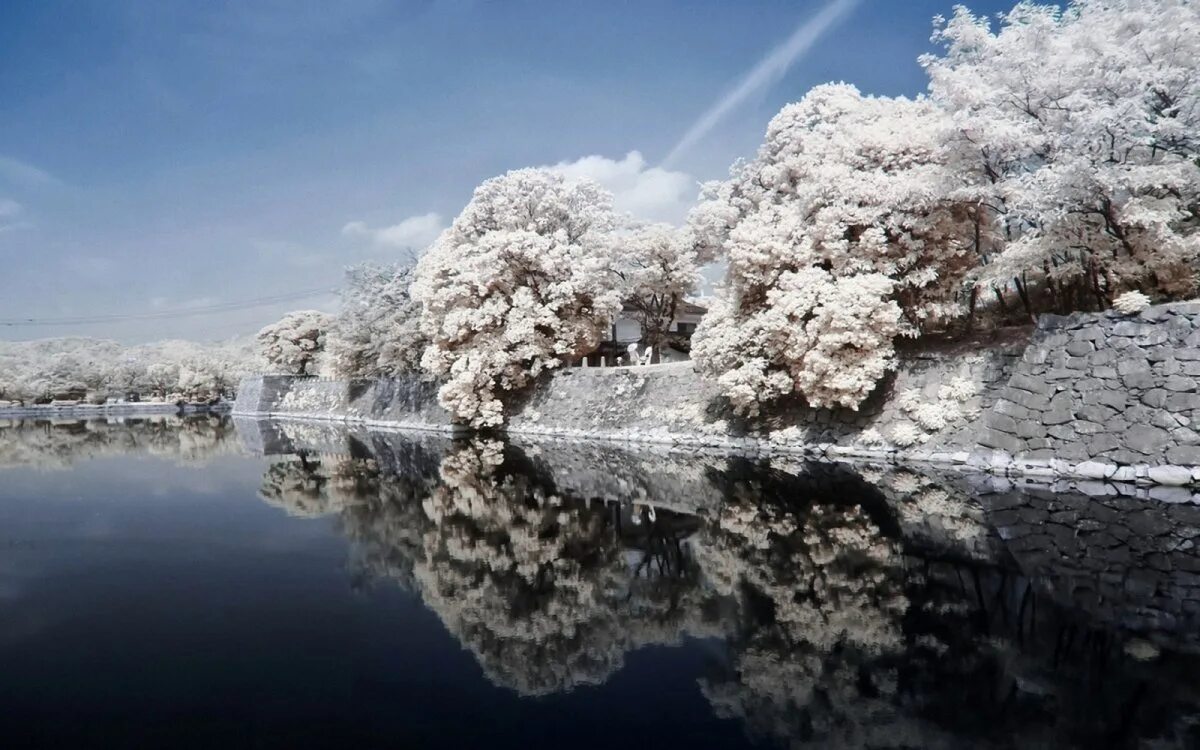 Сакура вода. Зима в Японии. Японский пейзаж. Япония зимой. Зима в Китае.