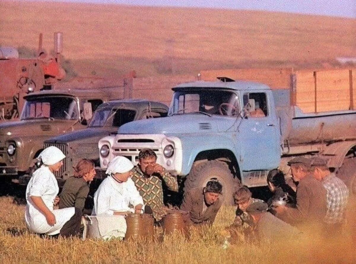 Земли колхозников разграничены