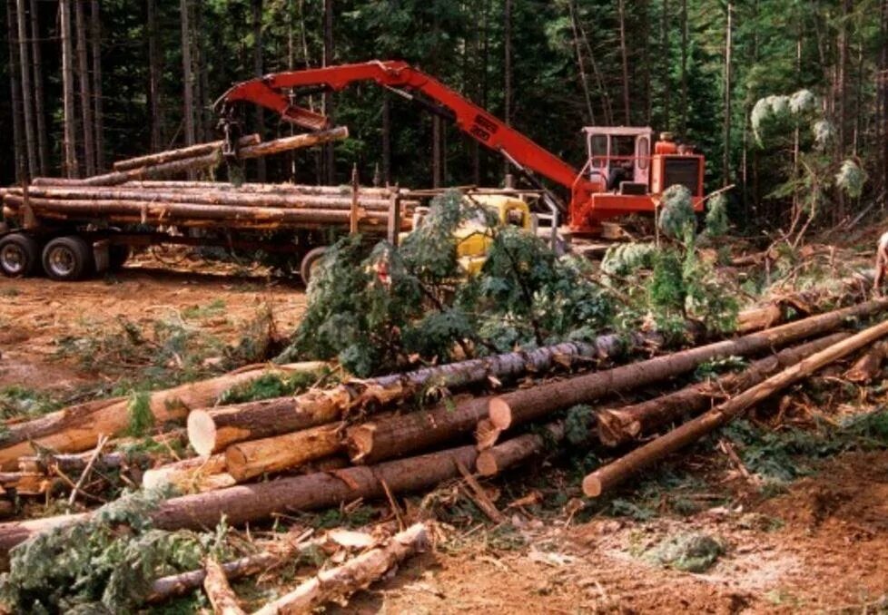 Logging operations