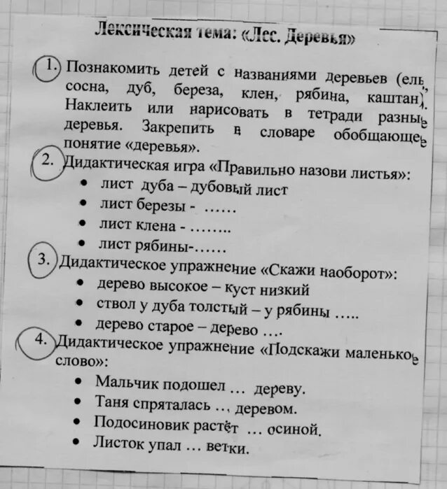 Слова на лексическую тему. Лексическая тема лес. Декстческая темп деревья. Лексическая тема лес деревья. Деревья лексическая тема логопедия.