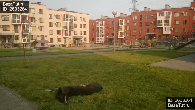 Отзывы о "Apartment on Solnechnikova" Россия, Волгоград, улица Солнечникова - Ян