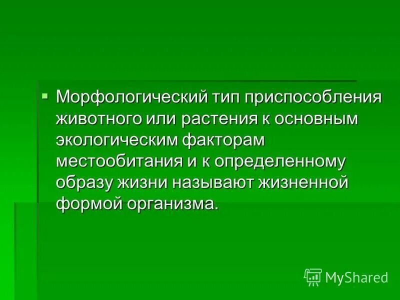 морфологические адаптации. приспособление маскировка у животных. морфологические и физиологические адаптации. морфологический тип приспособления. морфологический вид приспособления.