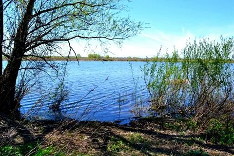 Сухая вязовка самарская область
