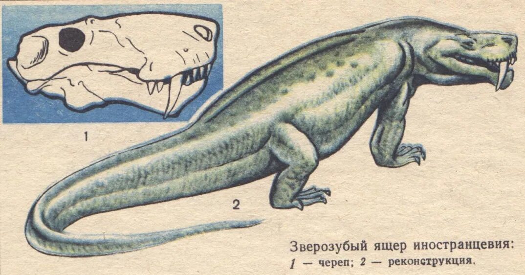 Самыми древними животными являются