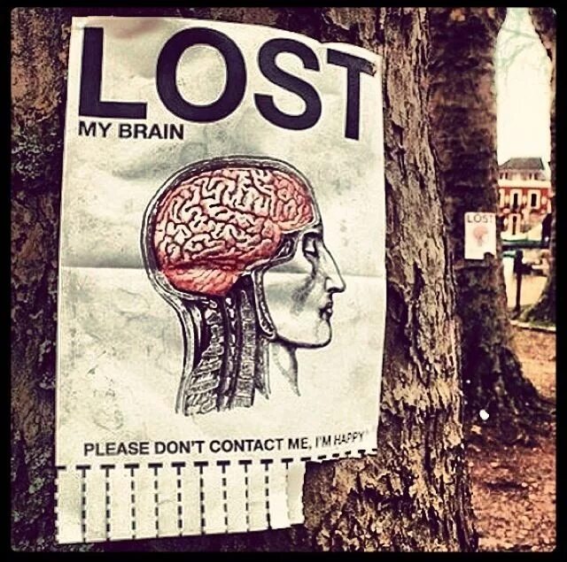 Lost brained. Brain стрит. My Brain. Lost my. Pleasures of the Brain.