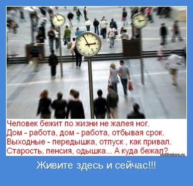 Не убегай жить. Человек бежит по жизни не жалея. Бежим по жизни не жалея ног. Человек бежит по жизни стих. Человек бежит по жизни не жалея ног стих.