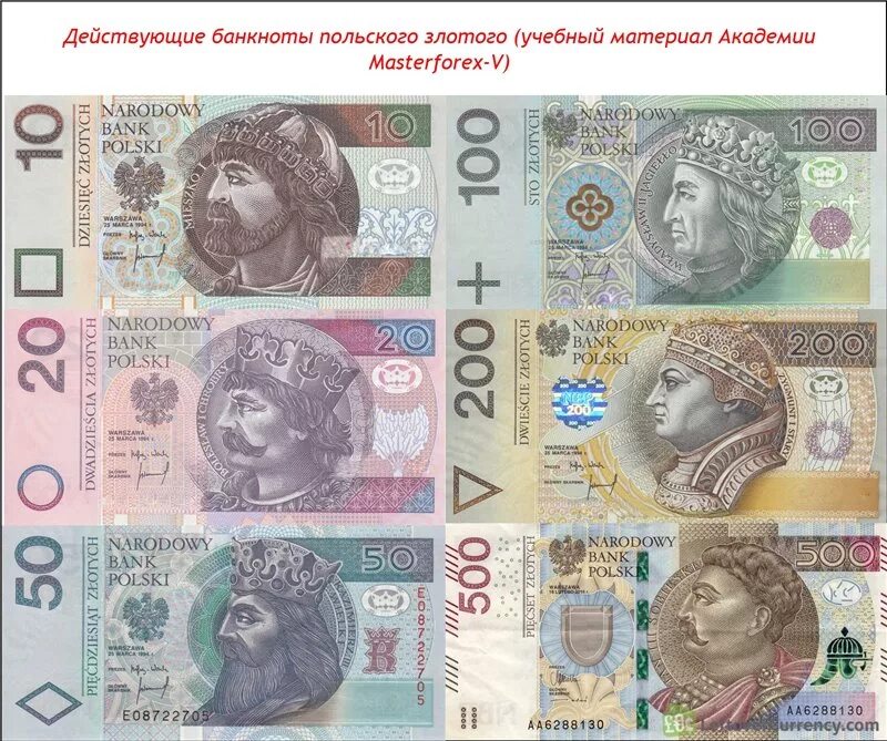 Польская денежная единица. Валюта Польши банкноты. Польша валюта купюра. Польские Злоты 50. Польский злотый 100 купюра.