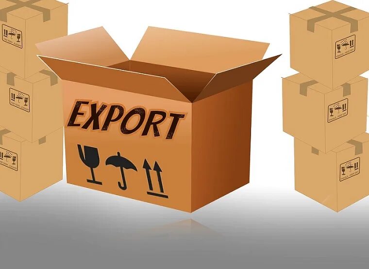 Export 7