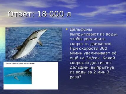 Скорость дельфина км ч