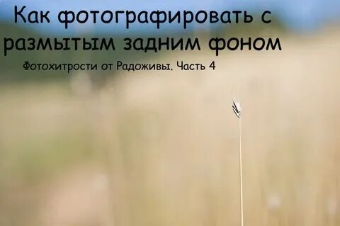 Как сделать размытый фон на самсунг