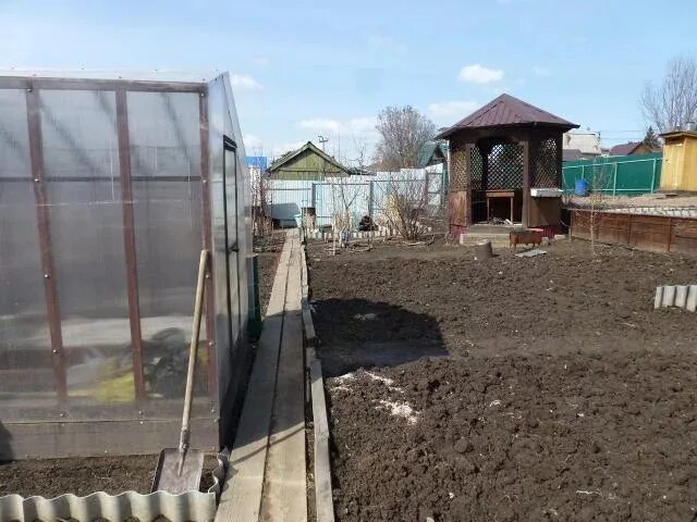 Снт земля сибирская омск. Дача омская область. Снт садовод 5. Сибирский садовод омск. Садоводческое товарищество радуга димитровград.