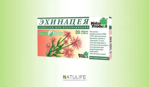 Эхинацея лекарство