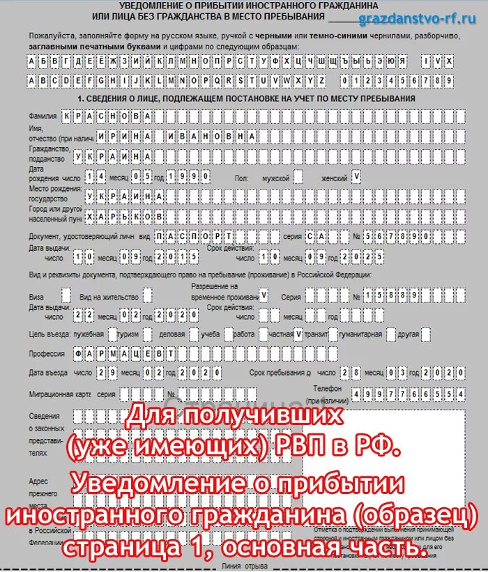 Заполнение уведомления о пребывании иностранного гражданина. Образец заявления уведомления о прибытии иностранного гражданина. уведомление о прибытии иностранного гражданина 2025 образец. уведомление о пребывании иностранного гражданина образец заполнения. бланка для регистрации иностранного гражданина нового образца.