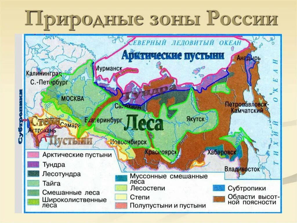 Какая природная зона самая маленькая в россии