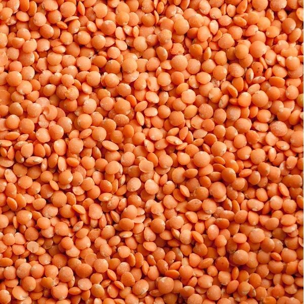 Red lentils - Stock Photo , #Affiliate, #lentils, #Red, #Photo, #Stock #AD in 20