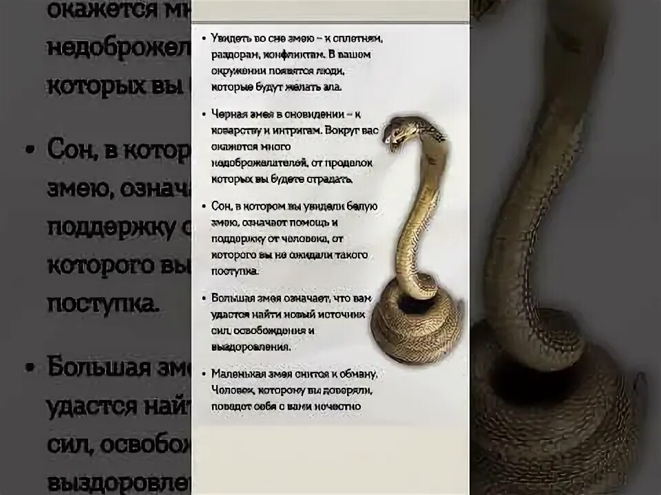 Змеи приснились во сне женщине. Приснилась змея к чему это сонник. Приснилась змея к чему это сонник. Сонник к чему снится змея. К чему снятся змеи женщине сонник.