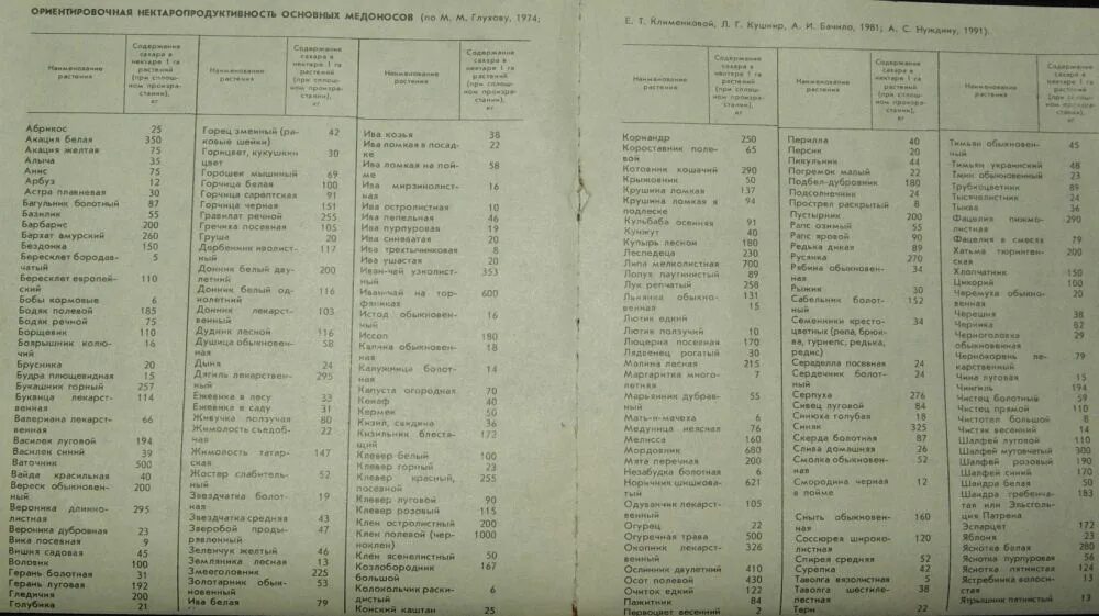 Медоносы для пчел таблица