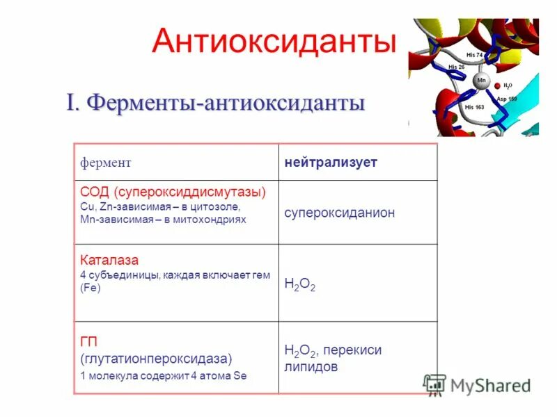 Низкомолекулярные антиоксиданты. Антиоксидантная защита схема биохимия. Неферментная антиоксидантная система. Действие антиоксидантных ферментов. Действие антиоксидантных ферментов.
