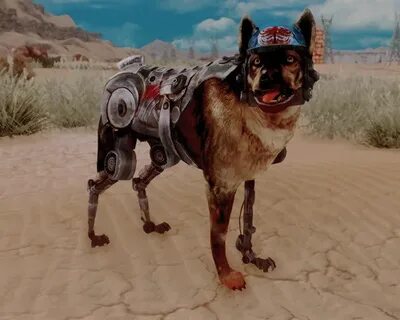 Rex behr пх