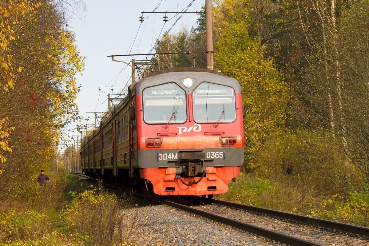 Электрички ржевка спб. Перегон Ржевка Заневский пост. Эд4м 401. Эд4м-0365. Ржевка станция светофоры.