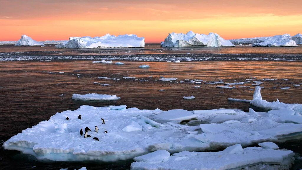 Разлив нефти в северном ледовитом океане. Природные ресурсы ледовитого океана. Природные ресурсы ледовитого океана. Природные ресурсы ледовитого океана. Добыча нефти в северном ледовитом океане.