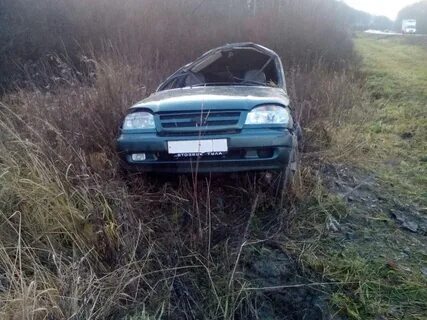 Нива рязанская область