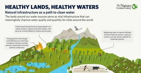 Health lands