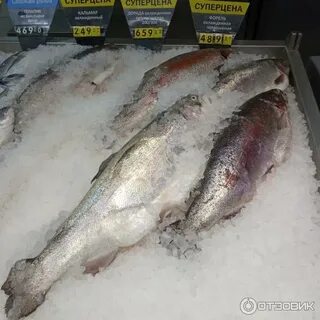 Перекресток форель