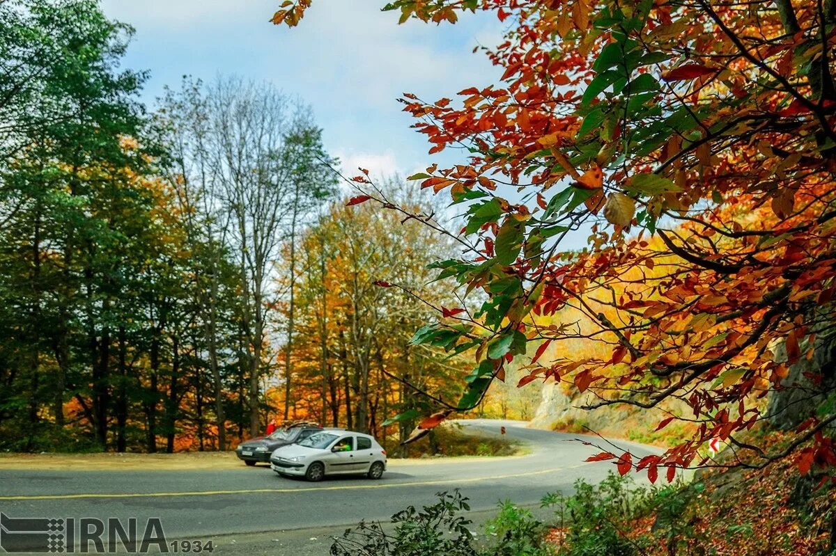 Осень в саду. Красивая осень. Осенний яблоневый сад. Осень на кубани листопад. Осень листопад.